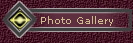 Photo Gallery